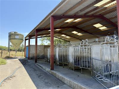 Picture 38